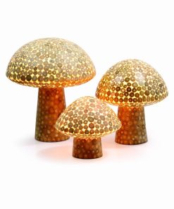 Mushe Medium con teak