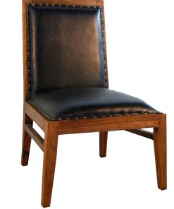 शाइन चेयर फर्नीचर