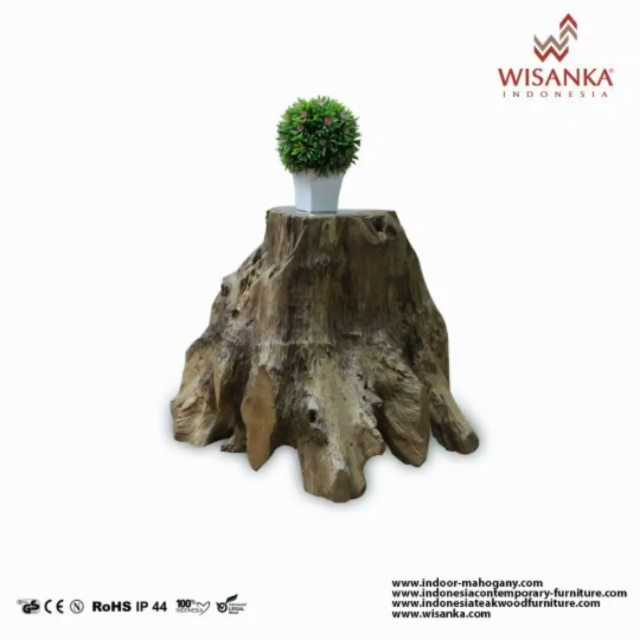 Teak Root Side Table