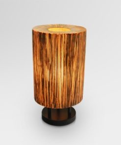 Cocostick Table Lamp
