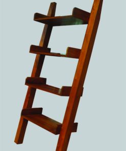 Ladder Rack